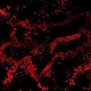 Meet your Posher, Phillip connor